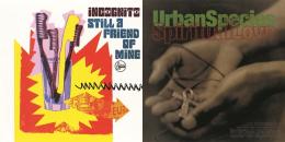Incognito / Urban Species