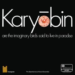 Spontaneous Music Ensemble『Karyobin』