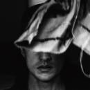 Tom Gallo『Vanish And Bloom』