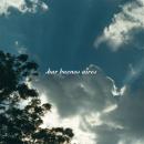 V.A.『bar buenos aires 〜 Viento, Luz, Agua』